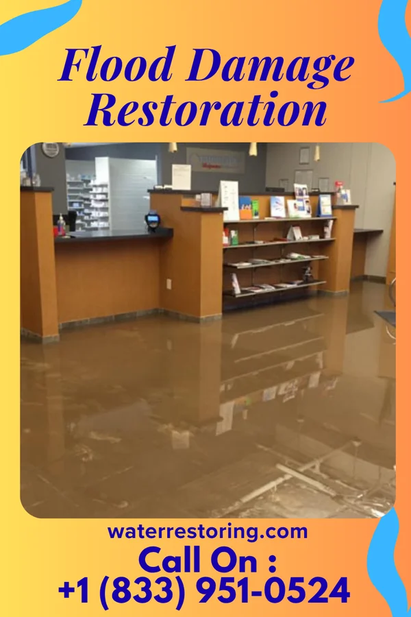 Flood Damage Restoration in Lago Vista, TX