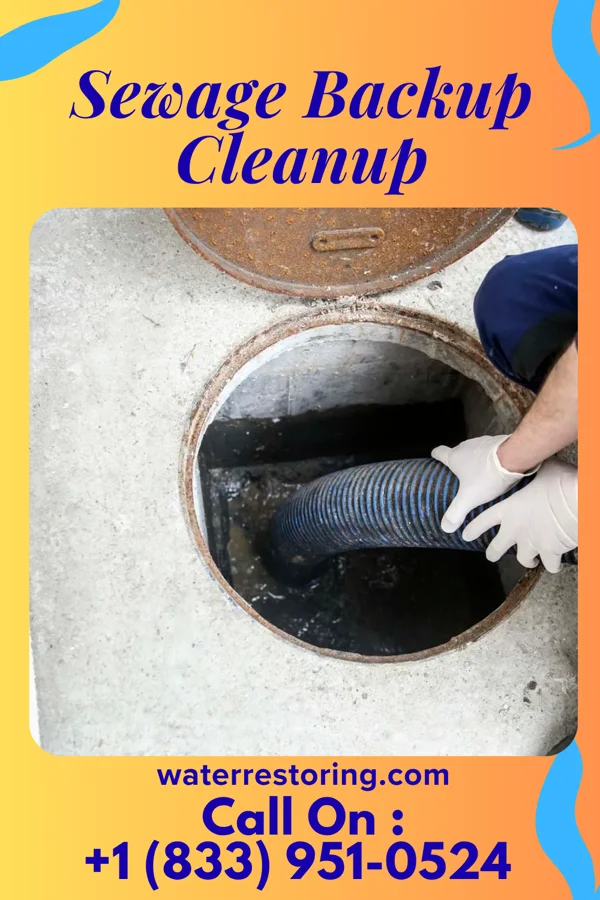 Sewage Backup Cleanup in Lago Vista, TX